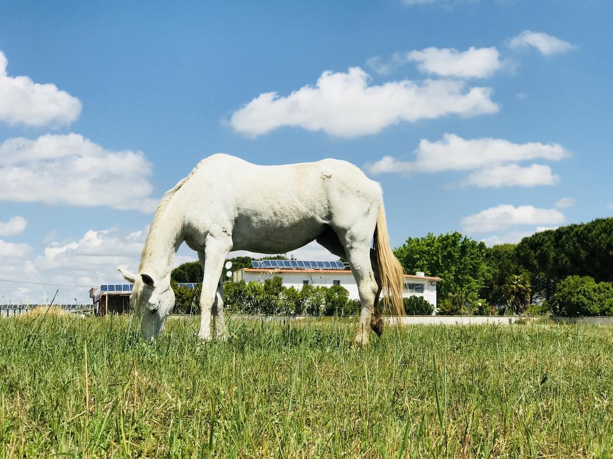 Masseria Nel Sole Lucera Exterior photo